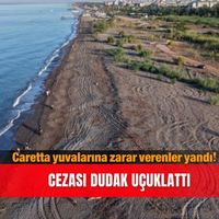 Güncel