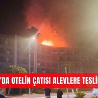 İlçeler