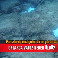 Güncel