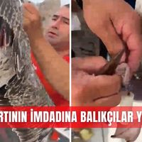 İlçeler