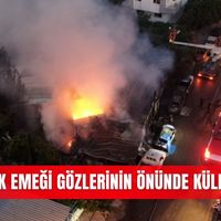 Asayiş