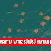 İlçeler