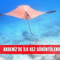Güncel