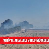 İlçeler