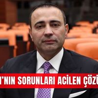 Güncel