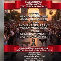 Güncel