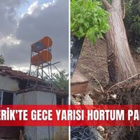 İlçeler