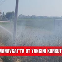 İlçeler
