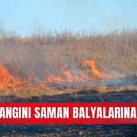 İlçeler