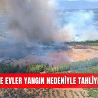 Asayiş