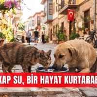 Antalya