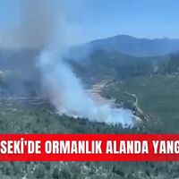 Asayiş
