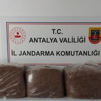 Asayiş