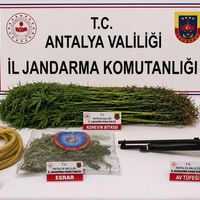 Asayiş