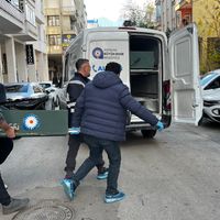 Asayiş