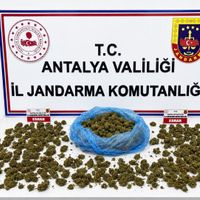 Asayiş