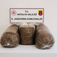 Asayiş