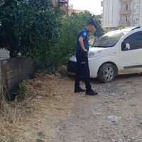 Asayiş