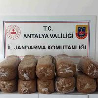 Asayiş