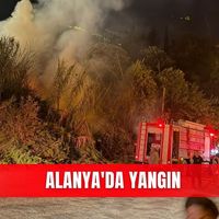İlçeler