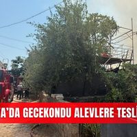 Asayiş
