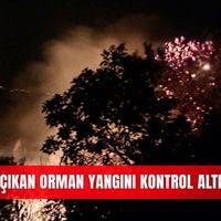 İlçeler