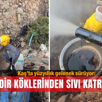 İlçeler