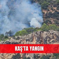 İlçeler