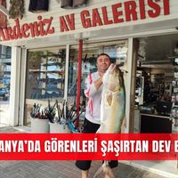 İlçeler