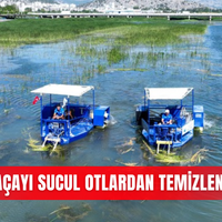Güncel