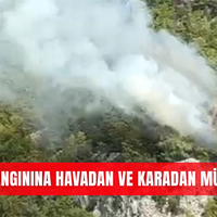 İlçeler