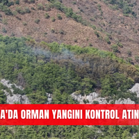 İlçeler
