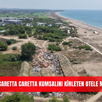 İlçeler