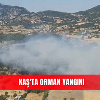 İlçeler