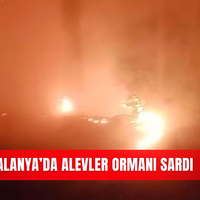 İlçeler