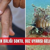 Güncel