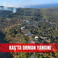 İlçeler