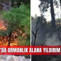 Asayiş