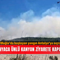 Asayiş