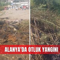 Asayiş