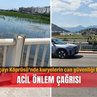 Güncel