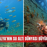 Antalya