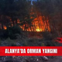 İlçeler
