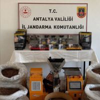 Asayiş