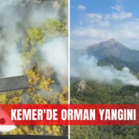 İlçeler