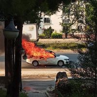 İlçeler