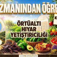 İlçeler