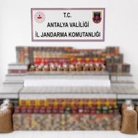 Asayiş