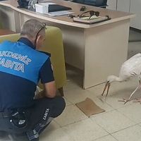 Bölge