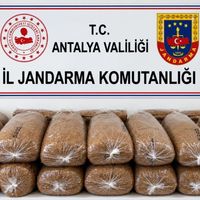 İlçeler